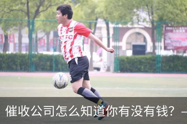 催收公司怎么知道你有没有钱？——你被“画像”了，自己却不知道